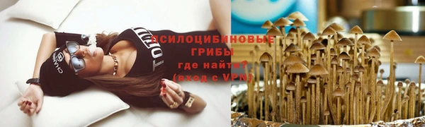 ГАЛЛЮЦИНОГЕННЫЕ ГРИБЫ Абаза