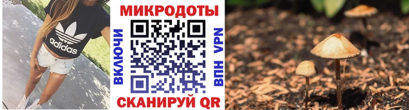 kraken tor Ирбит Псилоцибиновые грибы Psilocybe где найти наркотики