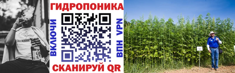 Бошки Шишки гибрид  Ирбит 